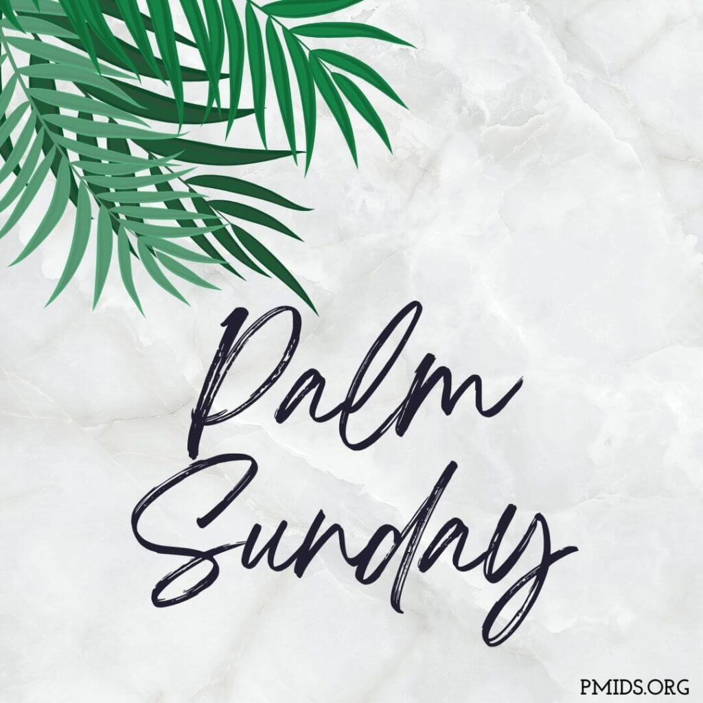 palm sunday status