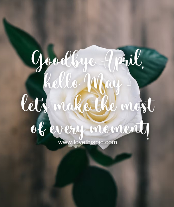 Goodbye April Hello May Quotes For 2023 To Kickstart Your Month With Positivity