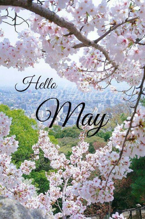 Hello May Images