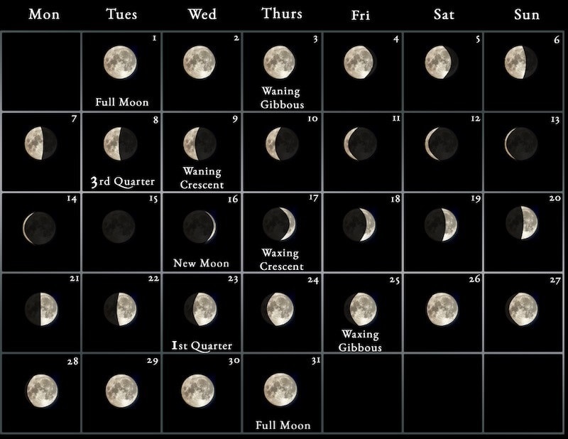 June Calendar 2023 Lunar Phases