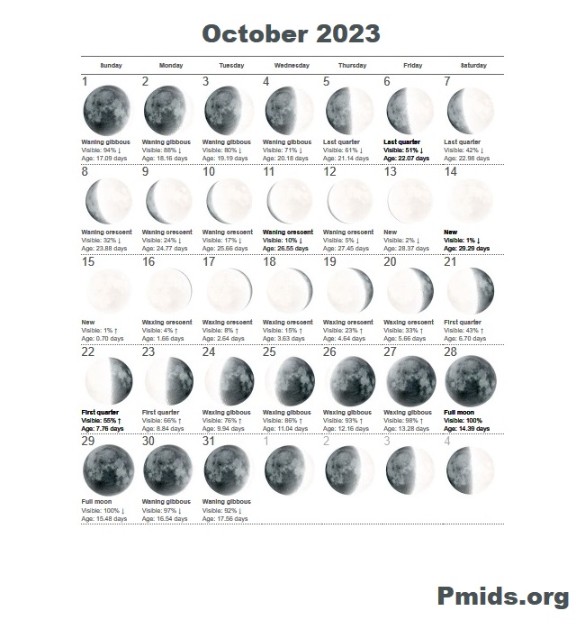 October Lunar Moon Calendar 2023