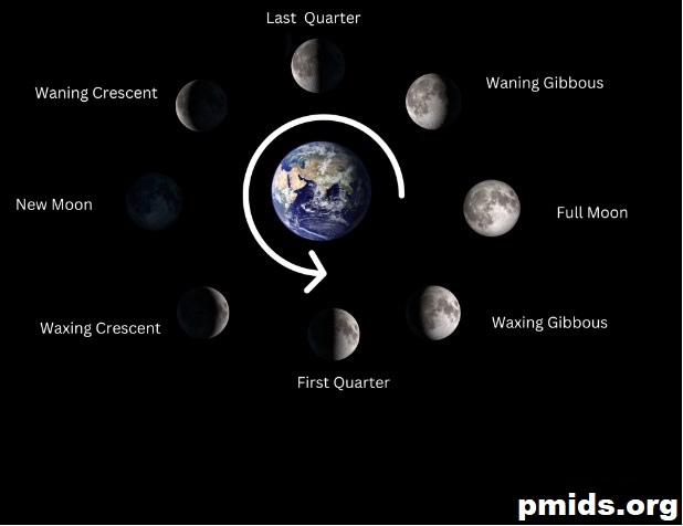 Printable Lunar Moon 2023 October Calendar Printable